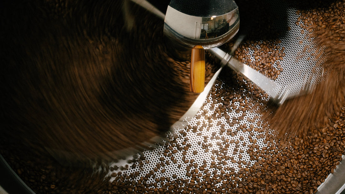Freshly roasted coffee beans cooling after roasting at EVERHĀOS